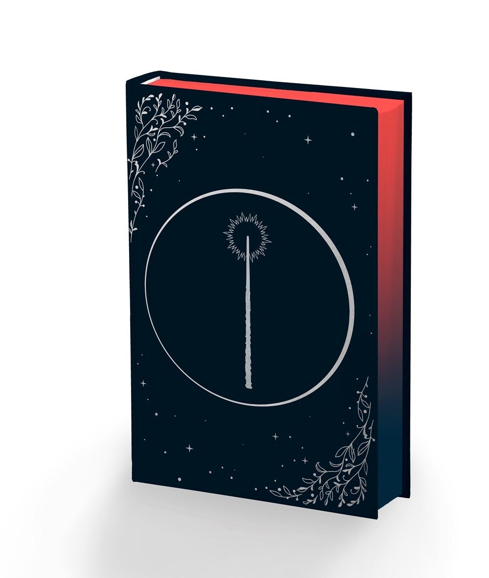 Silvercloak INDIE EDITION SIGNED L.K. Steven 9781529940978